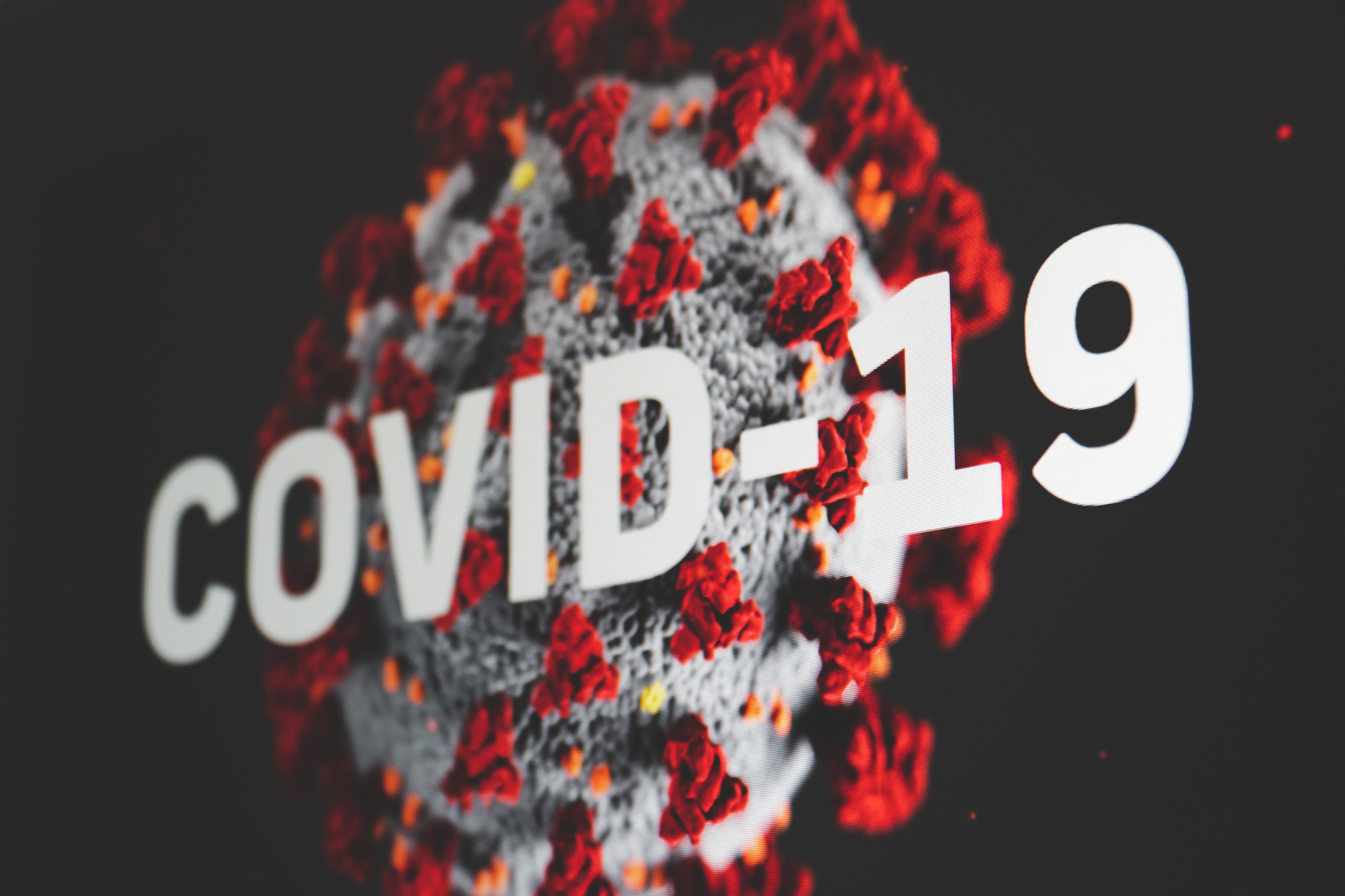 Covid 19, FDP Schwerin Aufarbeitung 