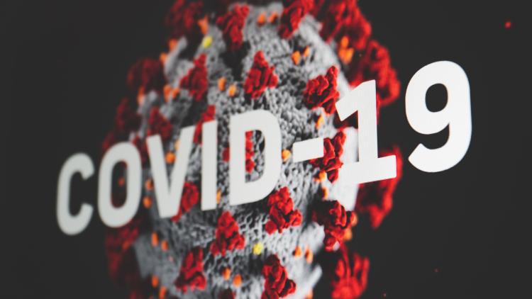 Covid 19, FDP Schwerin Aufarbeitung